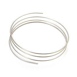 SS Tubing, 65cm OD1/16 Inch ID 0.005 Inch Produktbild